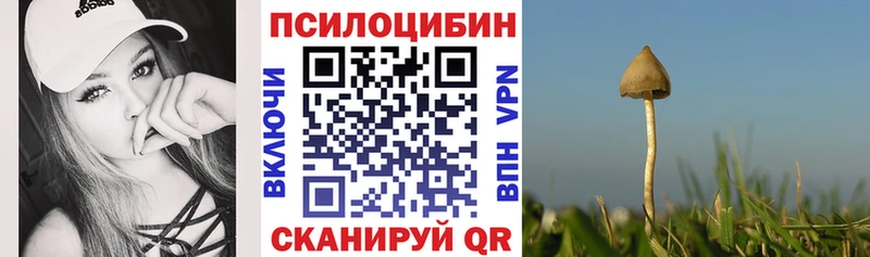 Псилоцибиновые грибы прущие грибы Темников